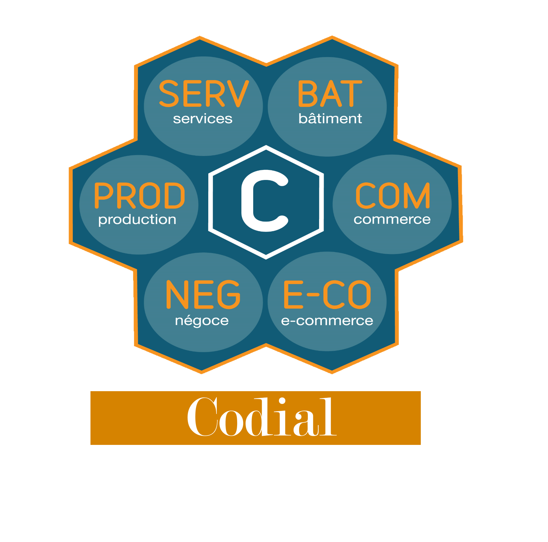 IT3 Informatique en partenariat avec Codial